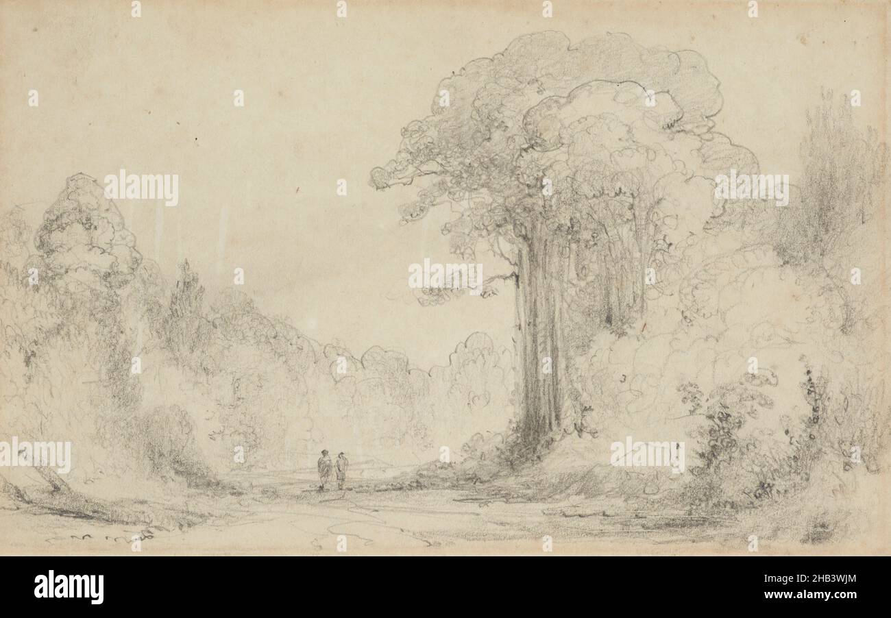 Eintritt zu Totara Grove, Upper Hutt., William Swainson Senior, 1840 Stockfoto