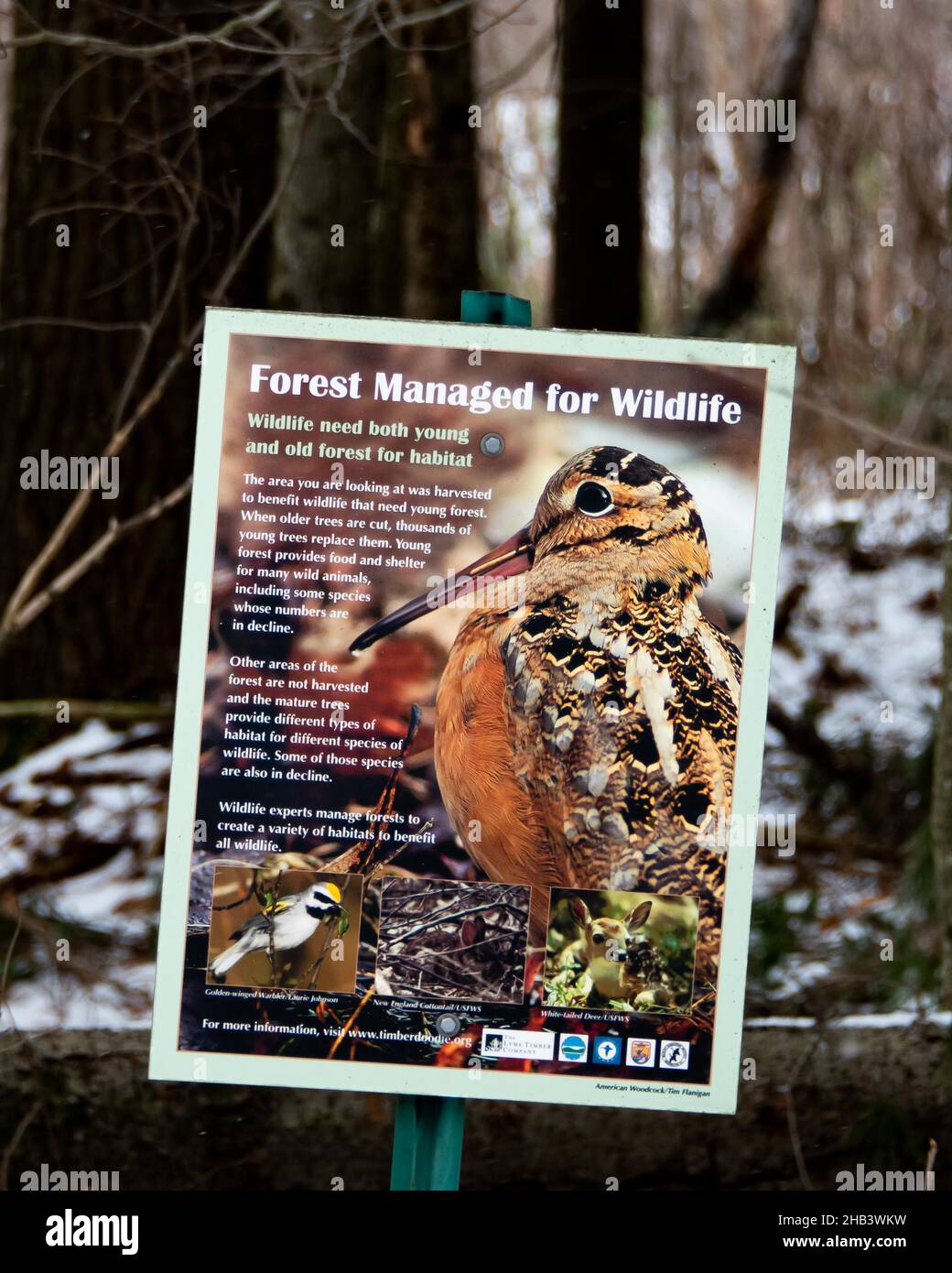 Ein Schild, auf dem die Waldbewirtschaftung für Wildtiere mit Bildern von Vögeln und Tieren erklärt wird Stockfoto