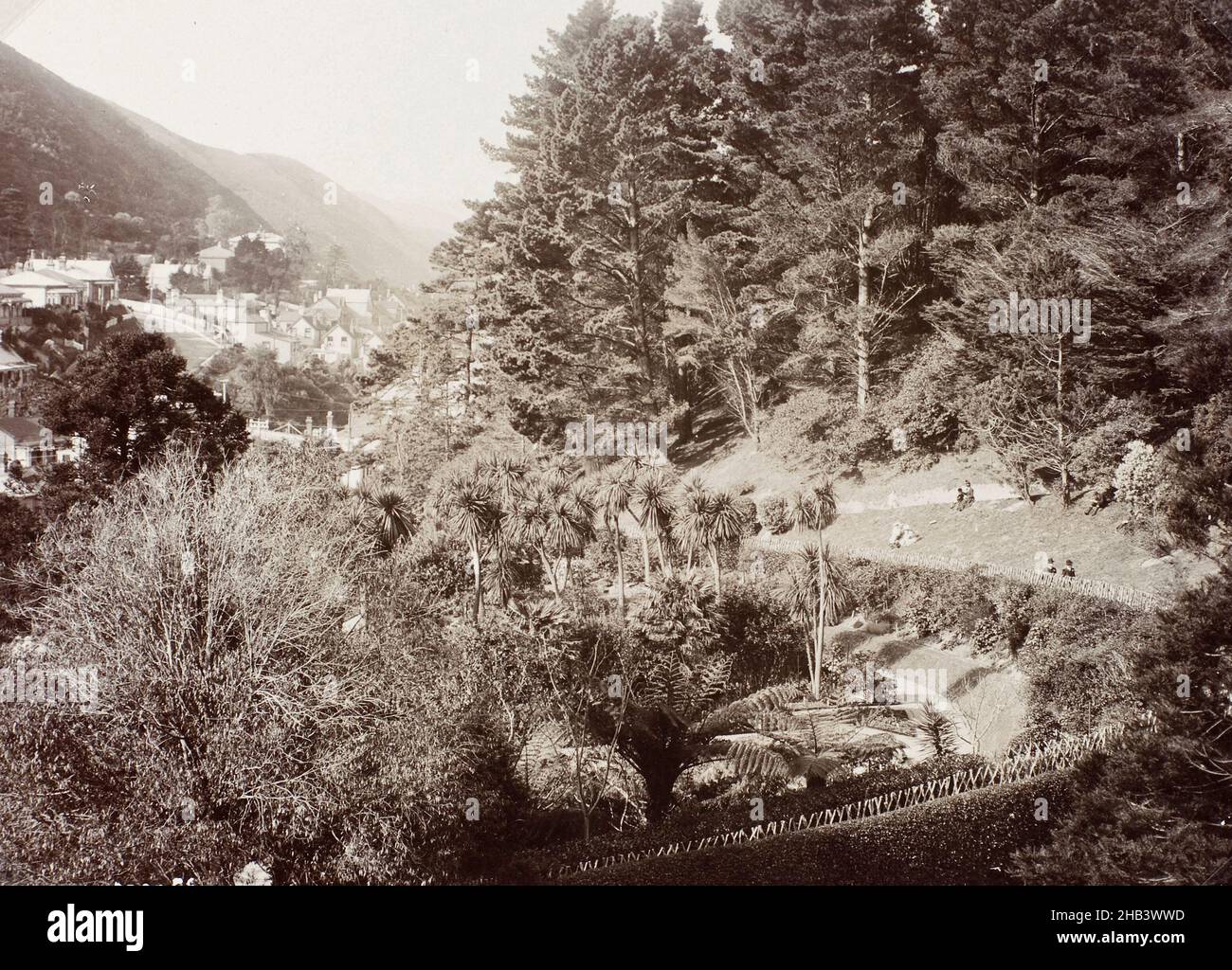 Botanischer Garten, Wellington, Burton Brothers Studio, Wellington Stockfoto