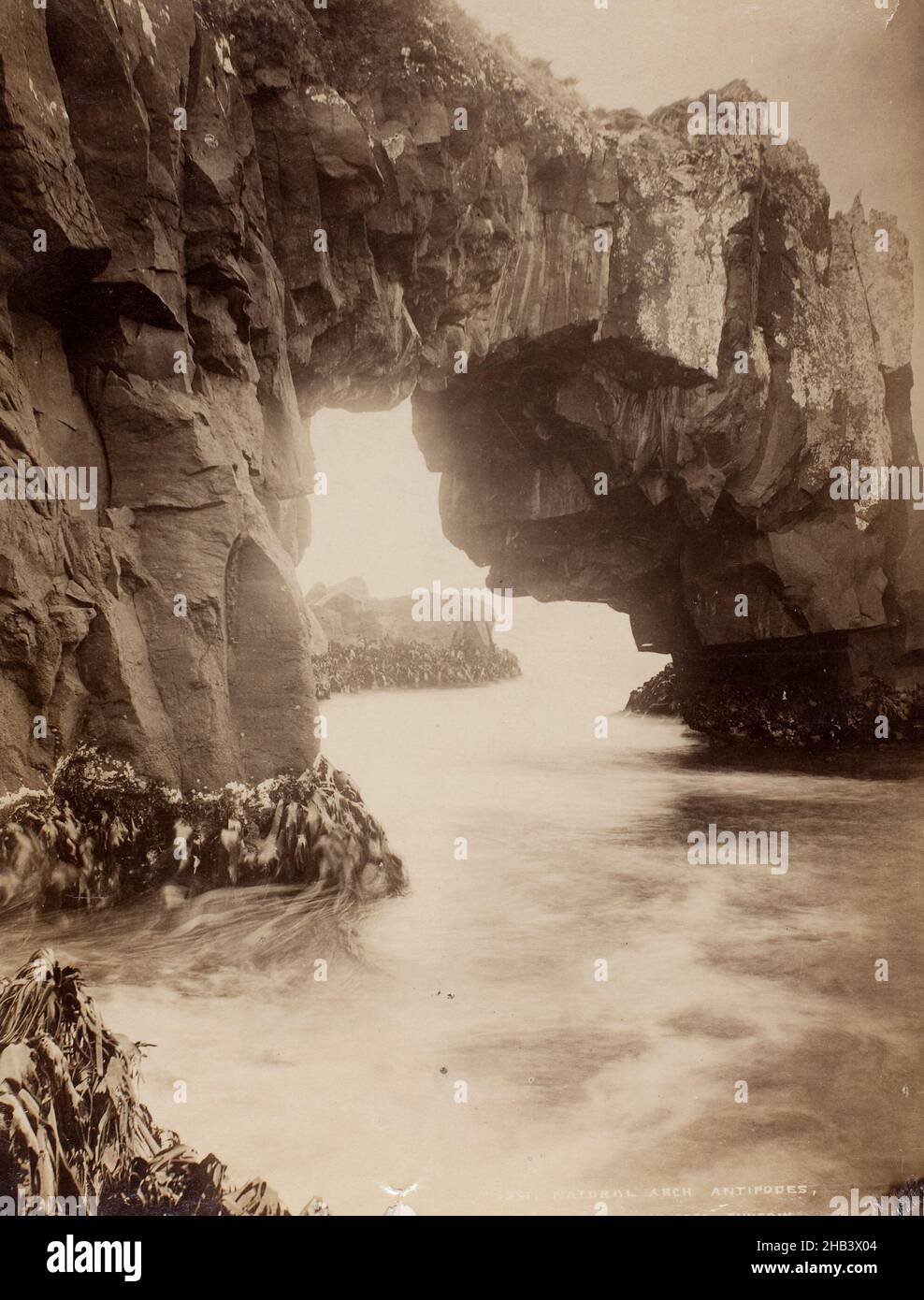 Natural Arch, Antipodes, Burton Brothers Studio, Antipodes Islands Stockfoto