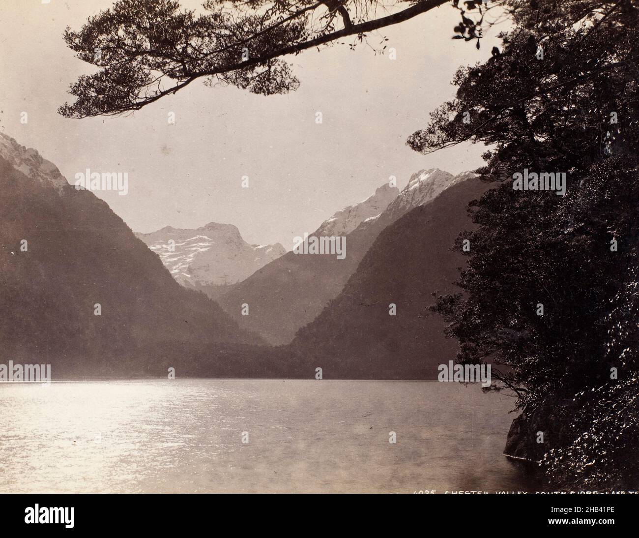 Chester Valley, South Fiord, Lake Te Anau, Burton Brothers Studio, Fotostudio, 1889, Dunedin Stockfoto