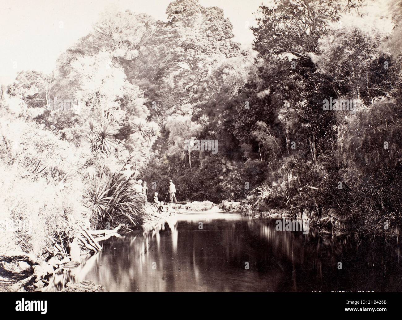Puerua River, Burton Brothers Studio, 1870-1880s, Southland Stockfoto
