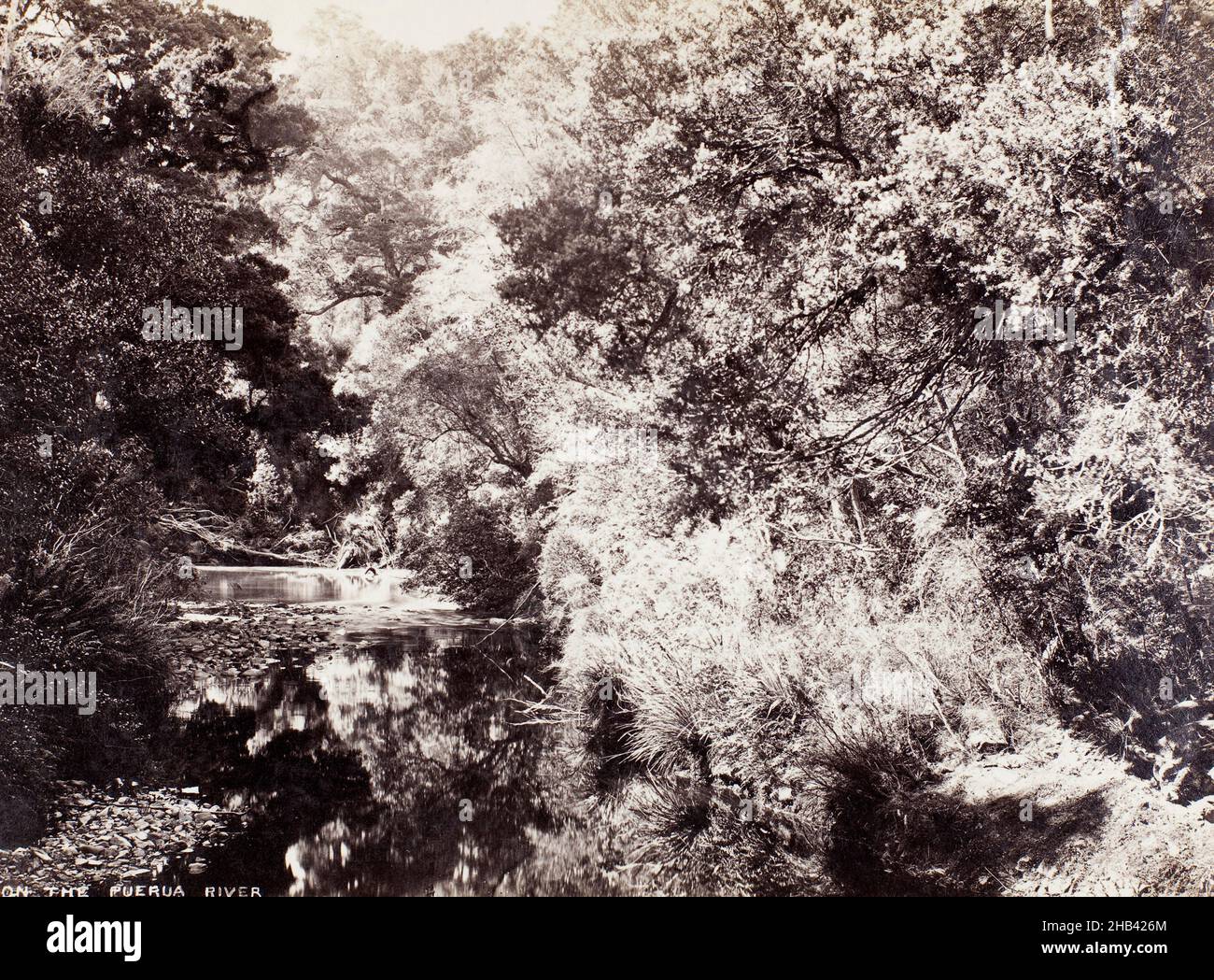 Am Puerua River, Burton Brothers Studio, 1870-1880s, Southland Stockfoto