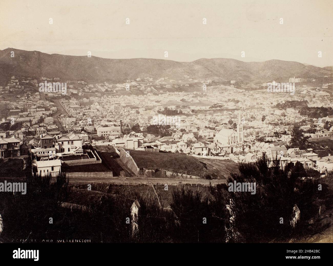 TE Aro Wellington, Burton Brothers Studio, Wellington Stockfoto