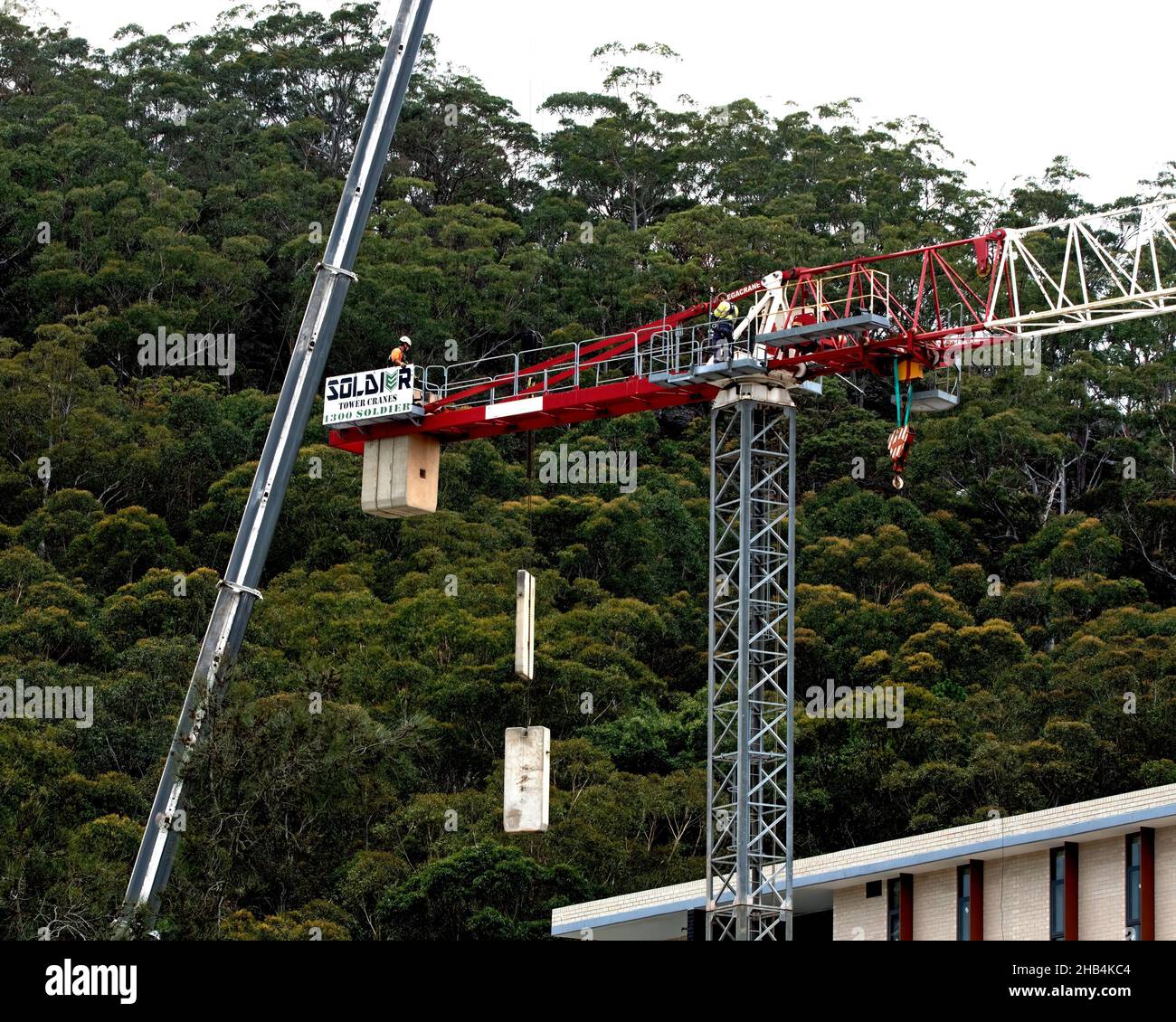 8:05 Uhr 7. Dezember 2021: Gosford, NSW, Australien. Arbeiter demontieren den Turmdrehkran vor Ort (Entfernen der Gegengewichte) auf dem fertig gestellten sozialen Netzwerk Stockfoto