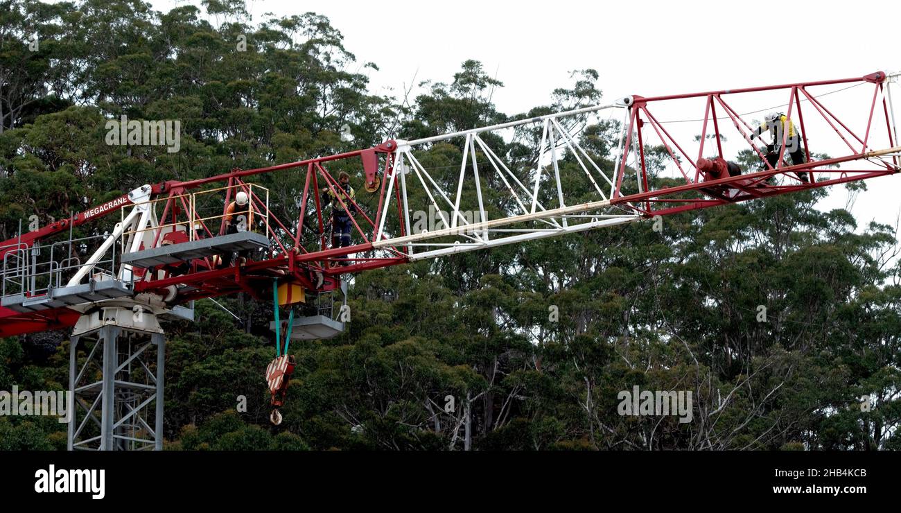 8:58 Uhr, 7. Dezember 2021: Gosford, NSW, Australien. Arbeiter demontieren den werkeigenen Turmdrehkrane (Abtrennen des Arbeitsauslegers) am jetzt fertig gestellten Stockfoto