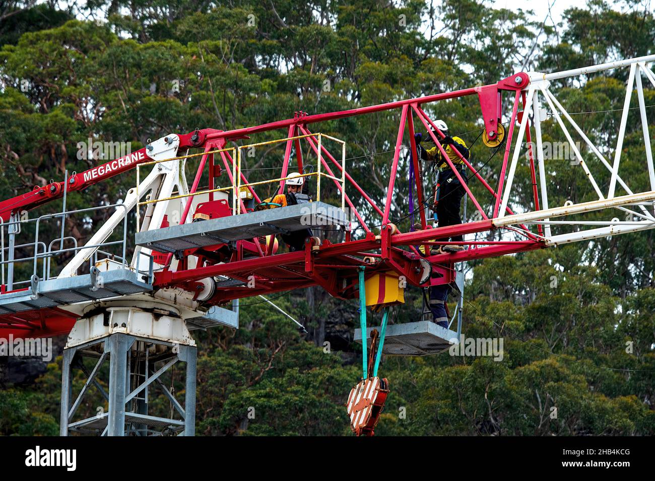 7:50:00 Uhr, 7. Dezember 2021: Gosford, NSW, Australien - Arbeiter demontieren den vor Ort arbeitenden Turmdrehkran (Abklemmen des Arbeitsschiebers) auf dem nun fertig Stockfoto