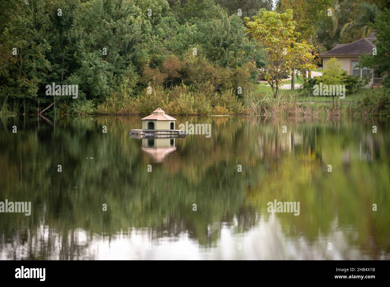 Vogelhaus im teich Fotos und Bildmaterial in hoher Auflösung Alamy
