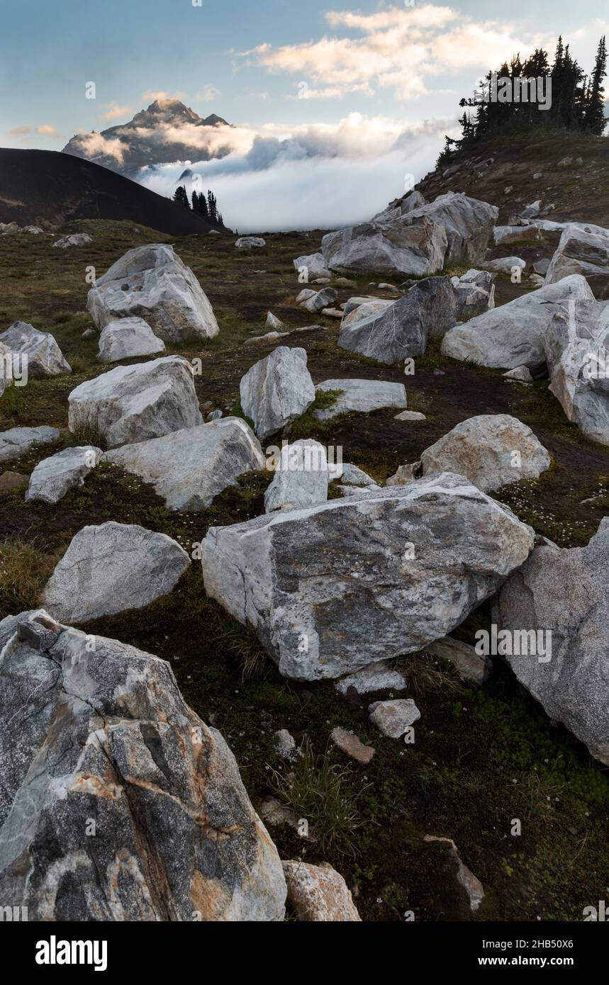 WA20529-00....WASHINGTON - Blick vom White Chuck Cinder Cone mit Glacier Peak in der Ferne, Glacier Peak Wilderness, Mount Baker Snoqualmie Natio Stockfoto