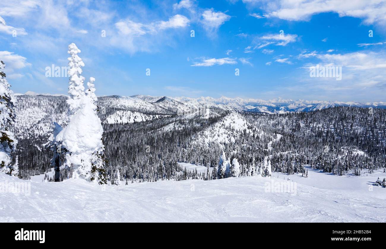 Panorama der Winterlandschaft mit starkem Schneefall auf dem Big Mountain in Whitefish, Montana, mit Blick auf den Glacier National Park, USA. Stockfoto