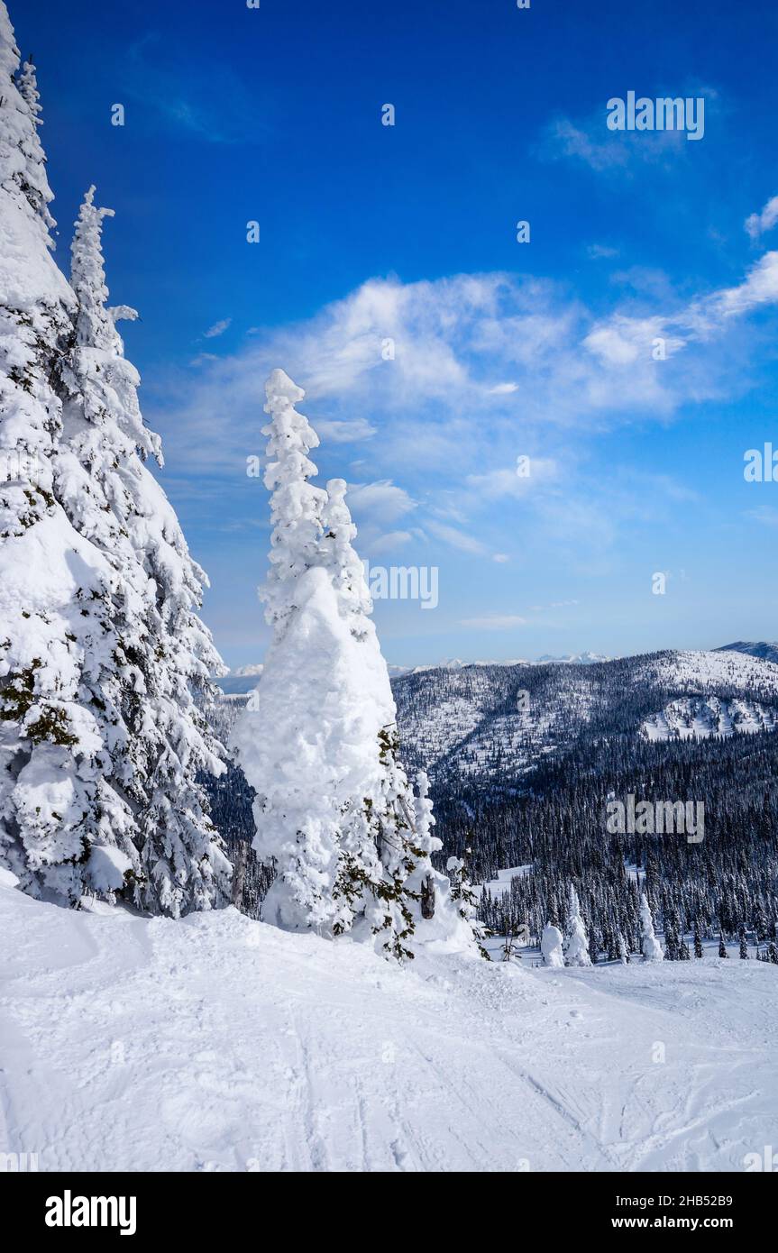 Starker Schneefall weiß die Winterlandschaft auf dem Big Mountain in Whitefish, Montana, im Glacier National Park, USA, aus. Stockfoto
