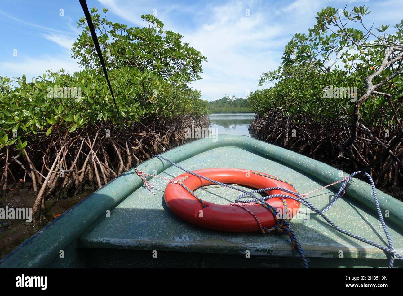 Panama Bastimentos Island - Cayo Coral Island Mangrovenbäume Stockfoto