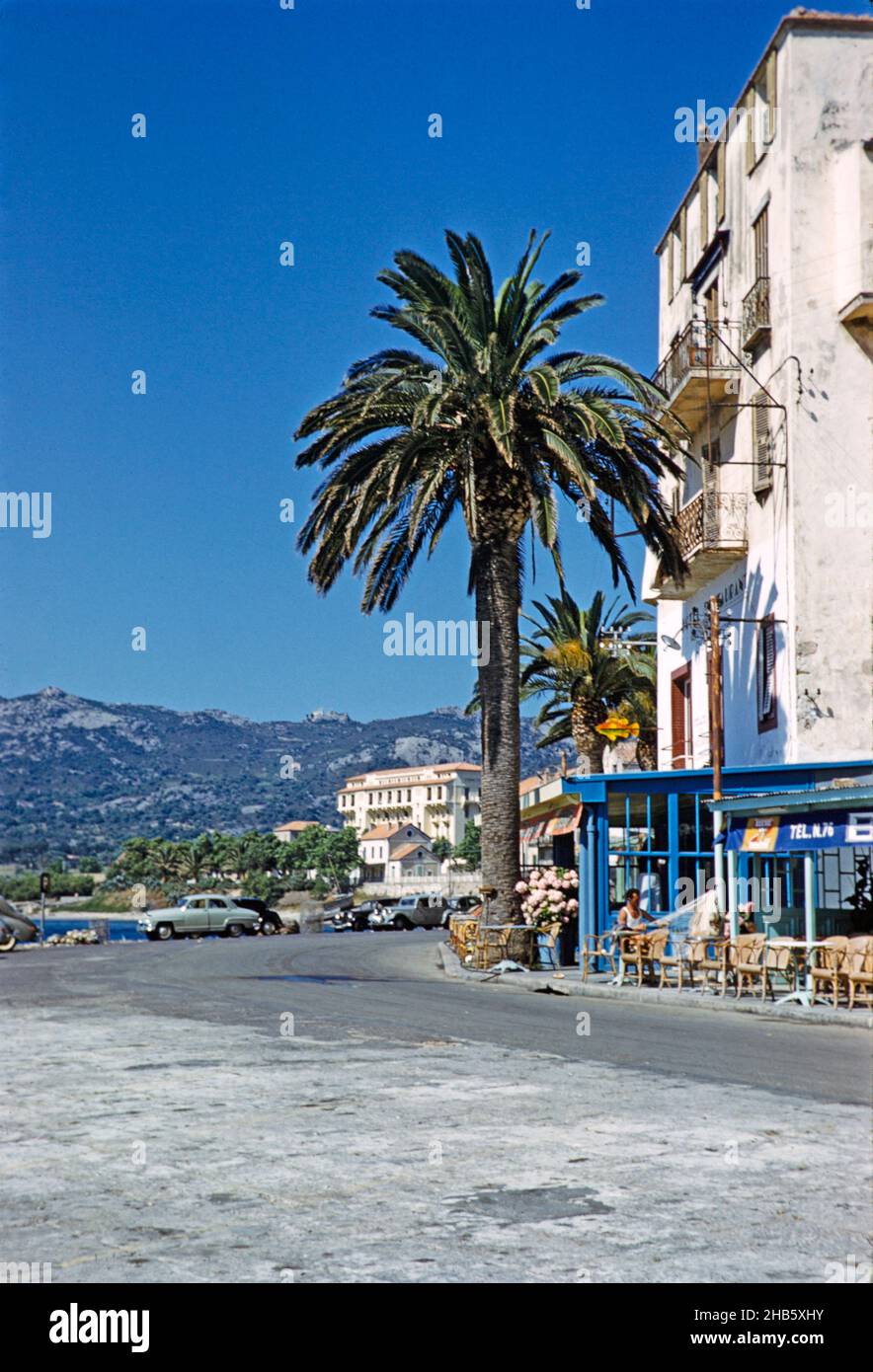 Calvi, Korsika, Frankreich in den späten 1950er Jahren Palmenhäuser am Meer Stockfoto
