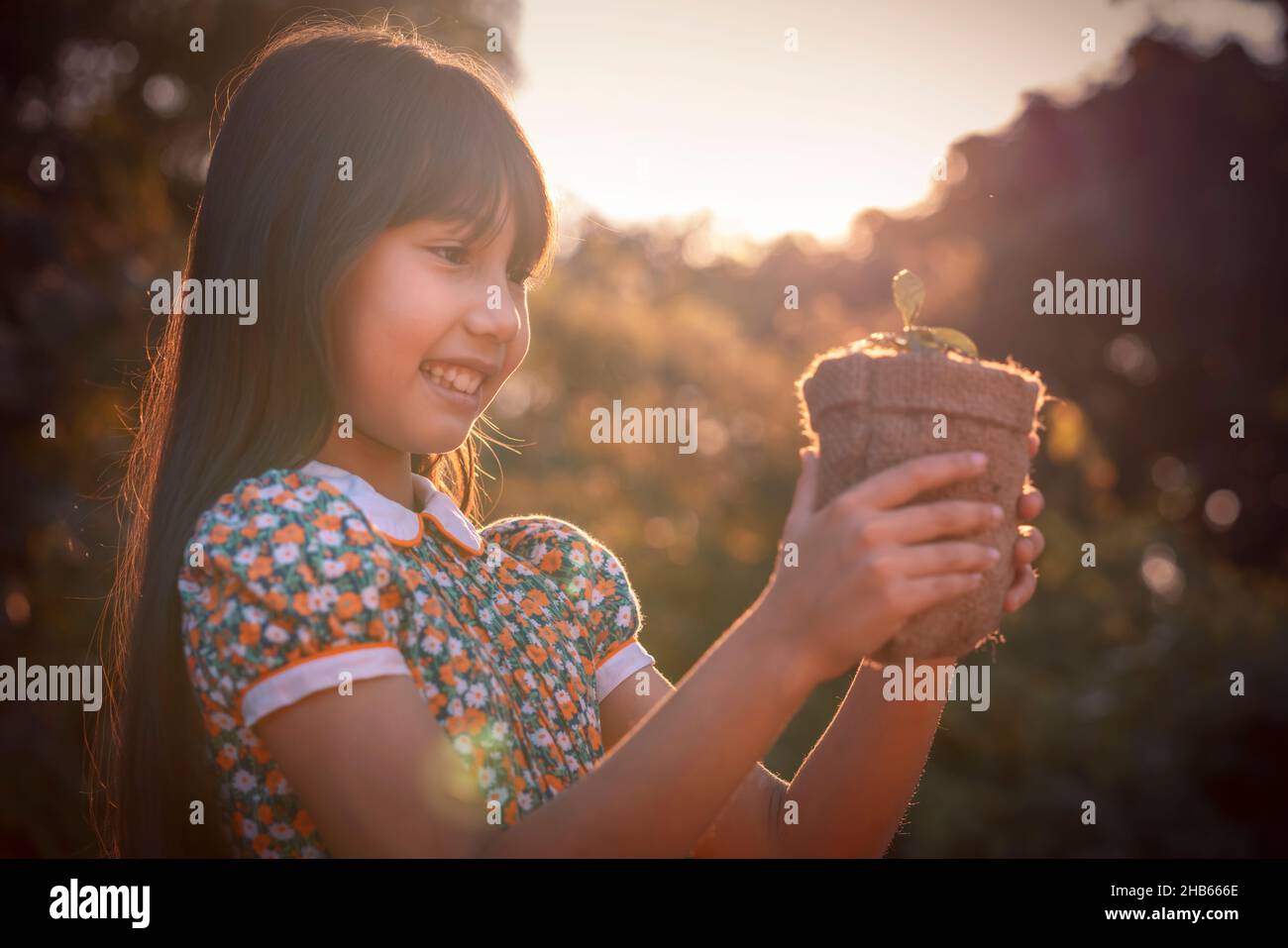 Junge Pflanze und Mädchen. Kleine niedliche Mädchen geben kleine Pflanze zu Sonnenschein. Glück neues Leben retten die Erde und Ökosystem-Konzept. Stockfoto