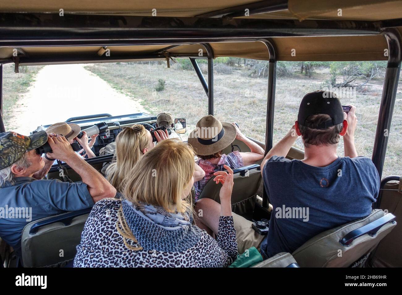 Wildbeobachtung durch Touristen auf einer Safari-Fahrt, unter der Tierwelt des Krüger National Park, Südafrika Stockfoto