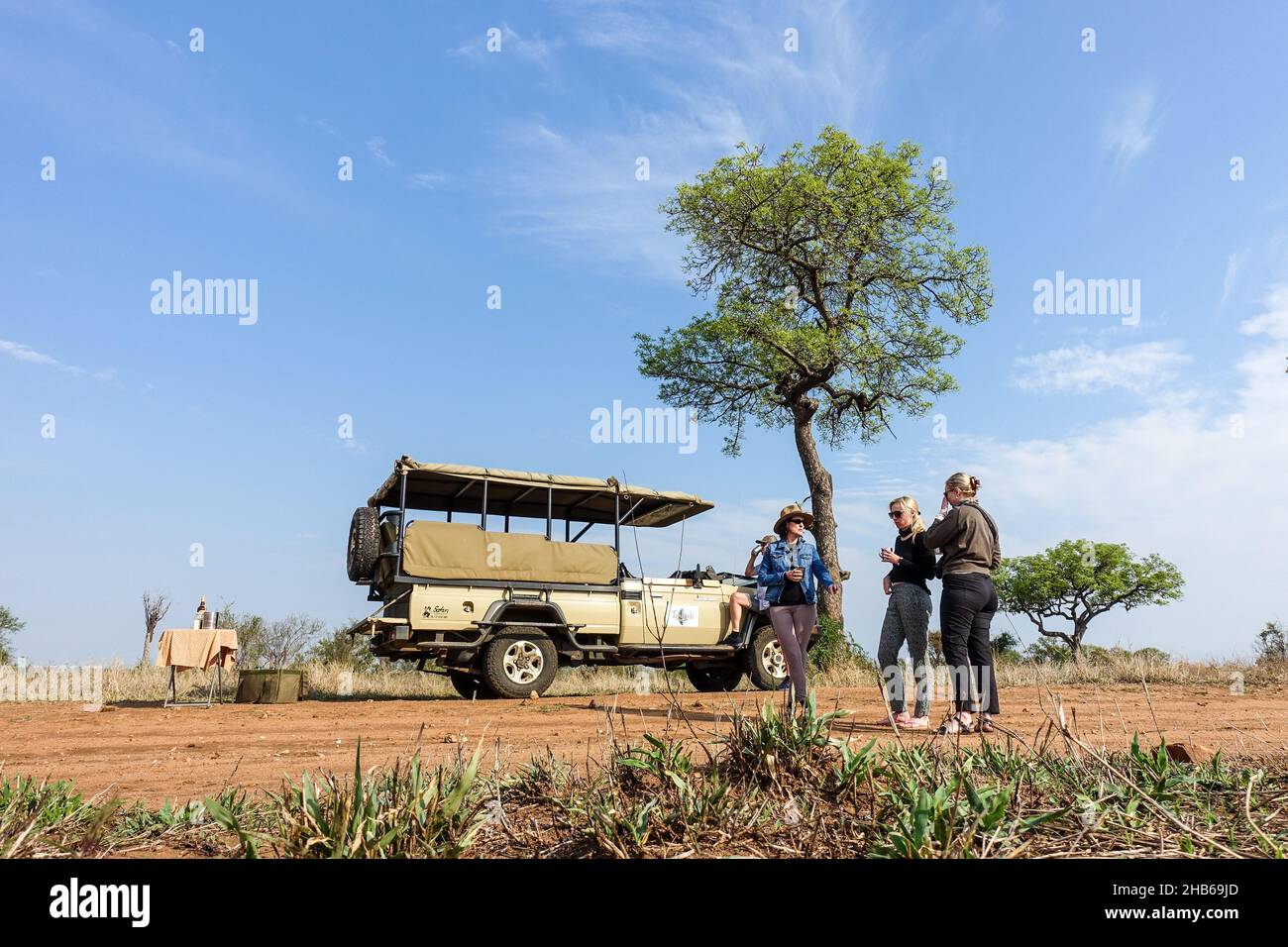 Touristen auf einer Safari-Safari-Fahrt, unter der Tierwelt des Kruger National Park, Südafrika Stockfoto