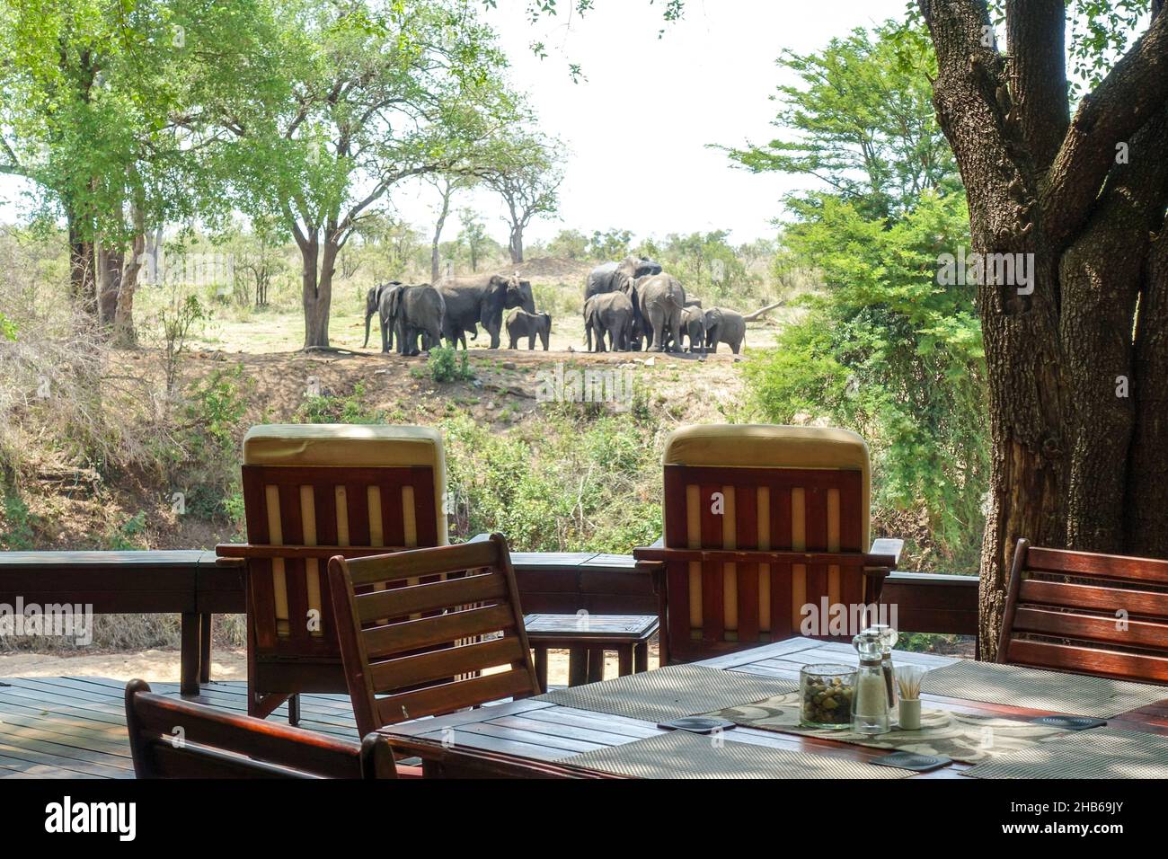 Luxuriöser Lodge-Tisch und Elefanten an einem Wasserloch im Krüger National Park, Südafrika Stockfoto
