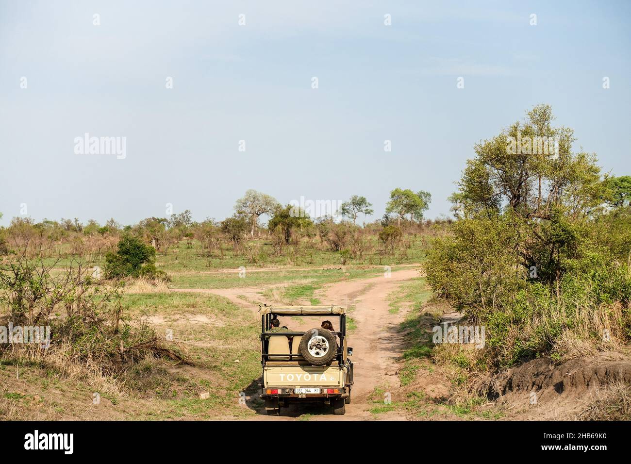 Fahrzeug bei einer Wildfahrt im Krüger National Park, Südafrika Stockfoto