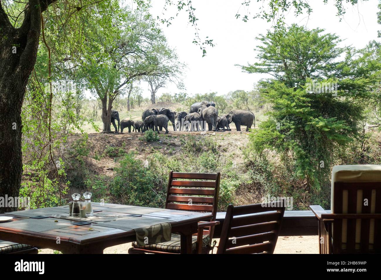 Luxuriöser Lodge-Tisch und Elefanten an einem Wasserloch im Krüger National Park, Südafrika Stockfoto