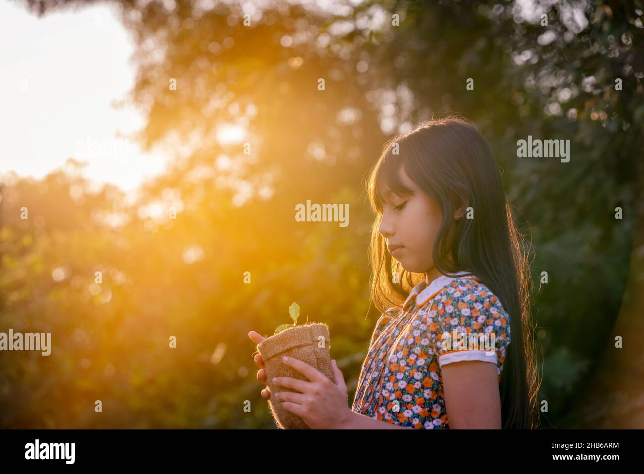 Junge Pflanze und Mädchen. Kleine niedliche Mädchen geben kleine Pflanze zu Sonnenschein. Glück neues Leben retten die Erde und Ökosystem-Konzept. Stockfoto