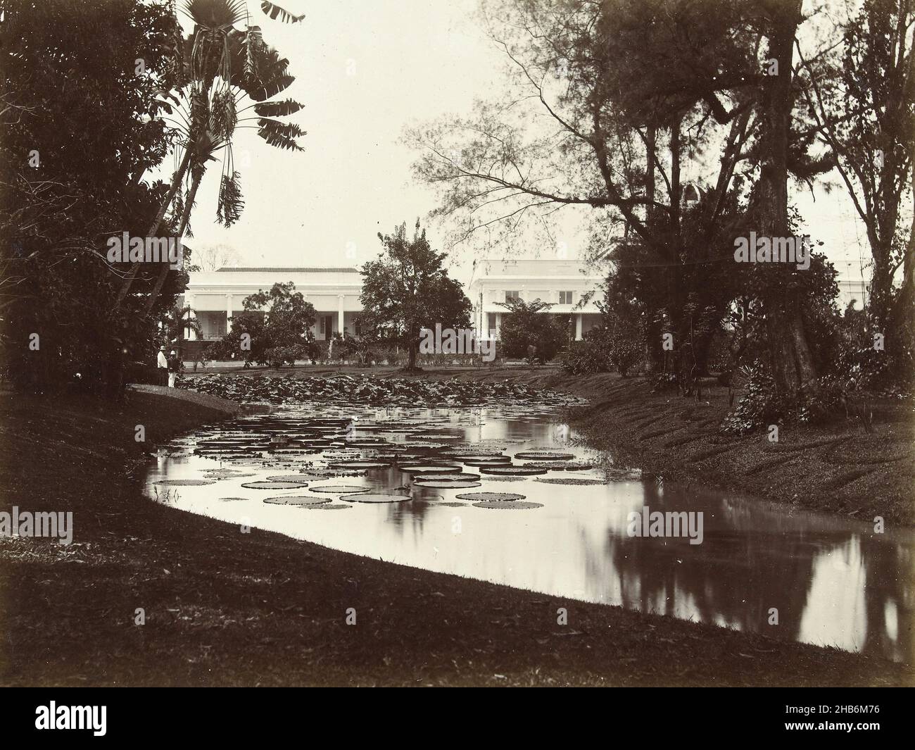 Der Victoria Regia Teich mit dem Gouverneurspalast im Botanischen Garten um Buitenzorg52 Uhr. Buitenzorg: botanischer Garten mit Gouverneurspalast (Titel auf Objekt), der Victoria Regia Teich mit dem Gouverneurspalast im Botanischen Garten bei Buitenzorg (Bogor), Niederländisch-Indien, anonym, Buitenzorg, c. 1895 - c. 1915, fotografischer Träger, Papier, Silbergelatine-Druck, Höhe 180 mm × Breite 240 mmhöhe 243 mm × Breite 329 mm Stockfoto