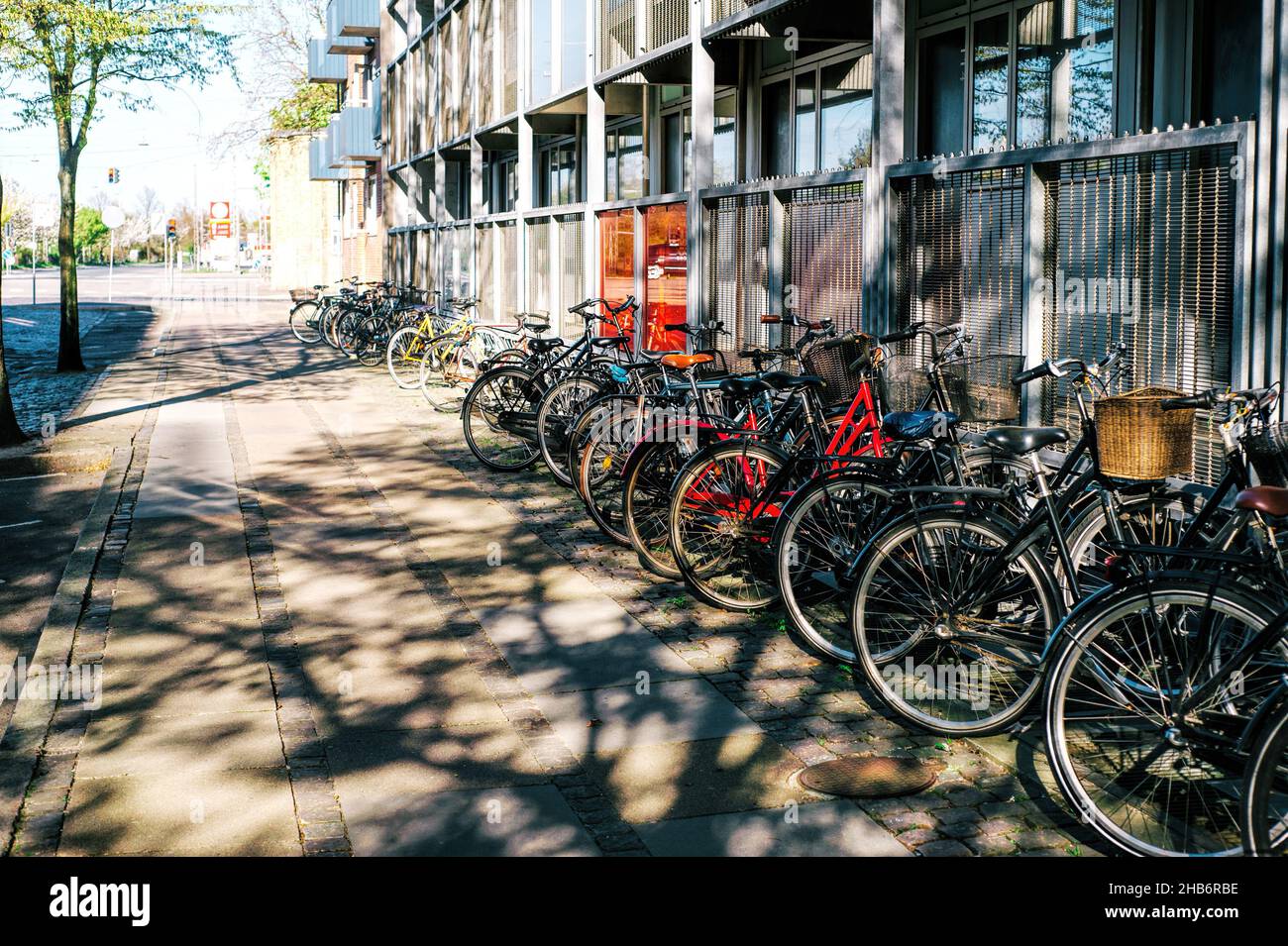 Viele Fahrräder stehen auf einer Stadtstraße. Öko-Leben, moderner Lebensstil. Stockfoto