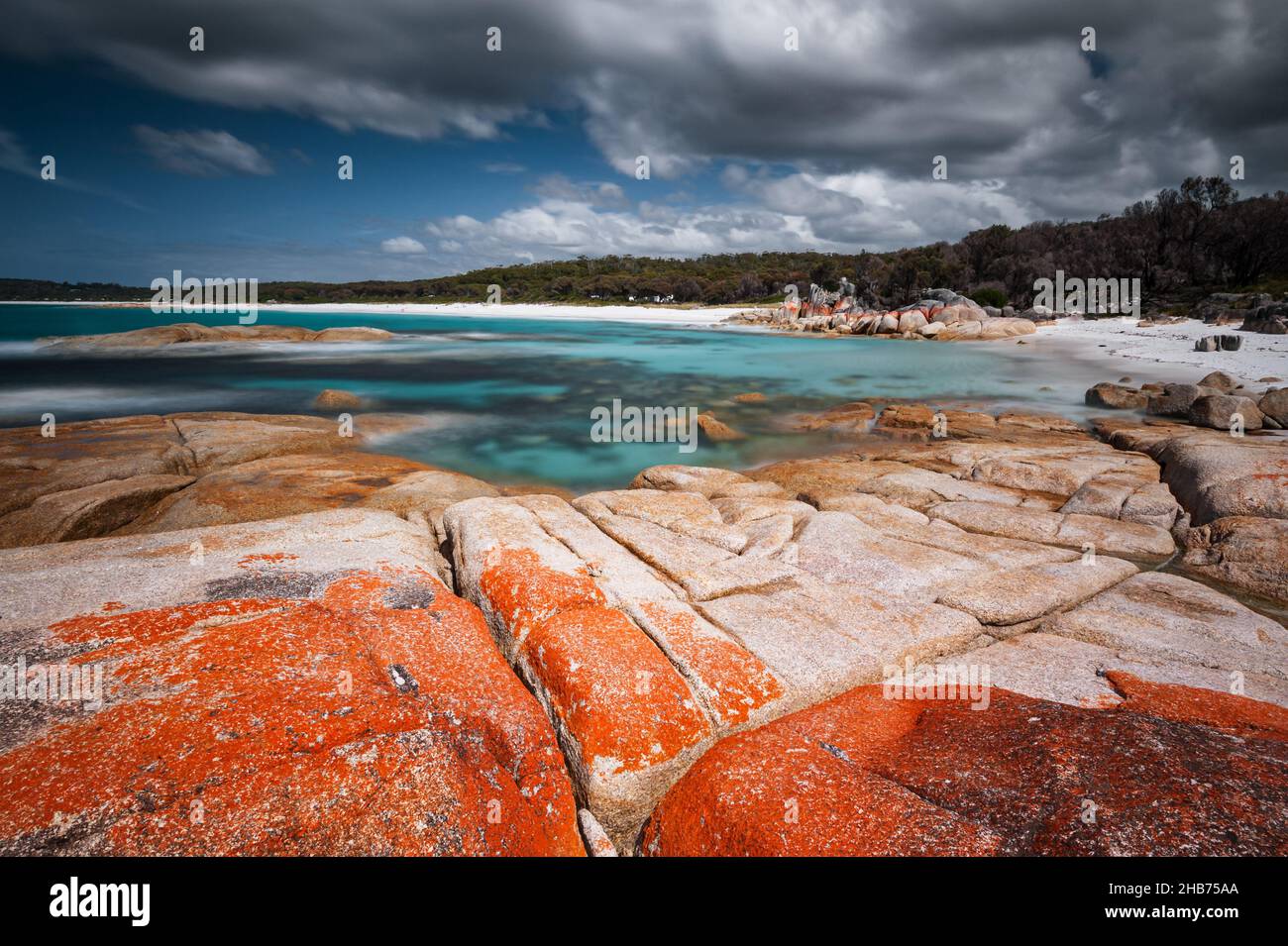 Bunte Flechten bedecken die Felsen in der Bay of Fires an der Ostküste Tasmaniens. Stockfoto