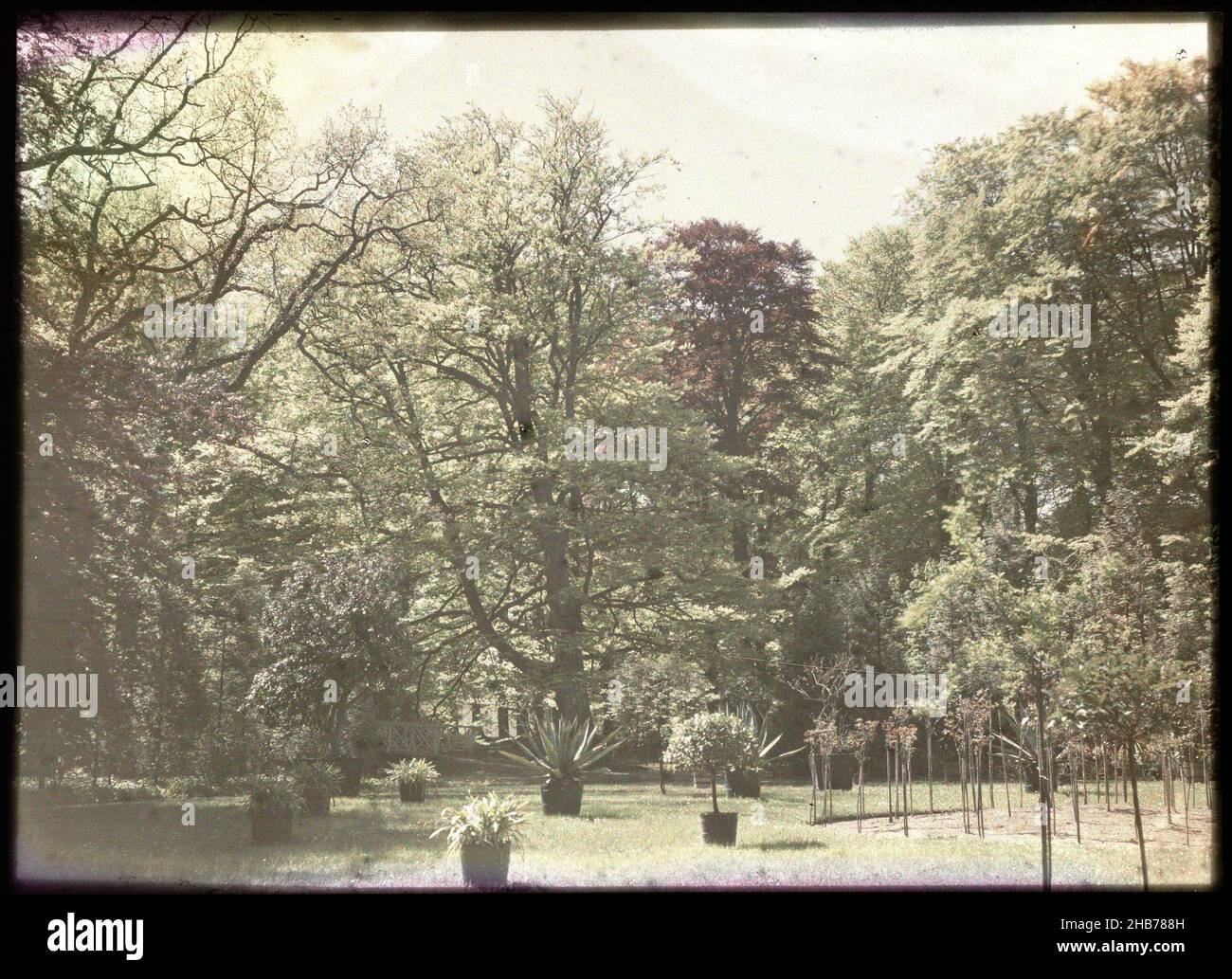 Blick in einen Garten, Adolphe Burdet (Kreis), anonym (abgelehnte Zuordnung), Niederlande, 1907 - 1930, Glas, Schieber, Höhe 88 mm × Breite 118 mm Stockfoto