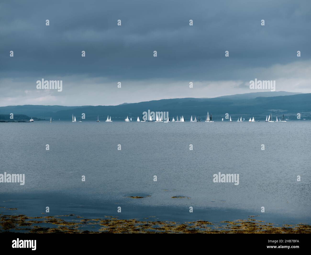 Eine Segelyacht-Regatta in Scallastle Bay, Sound of Mull, Inner Hebrides, Argyll & Bute Scotland UK - Seascape Segelboote Yachten nur Großsegel Stockfoto