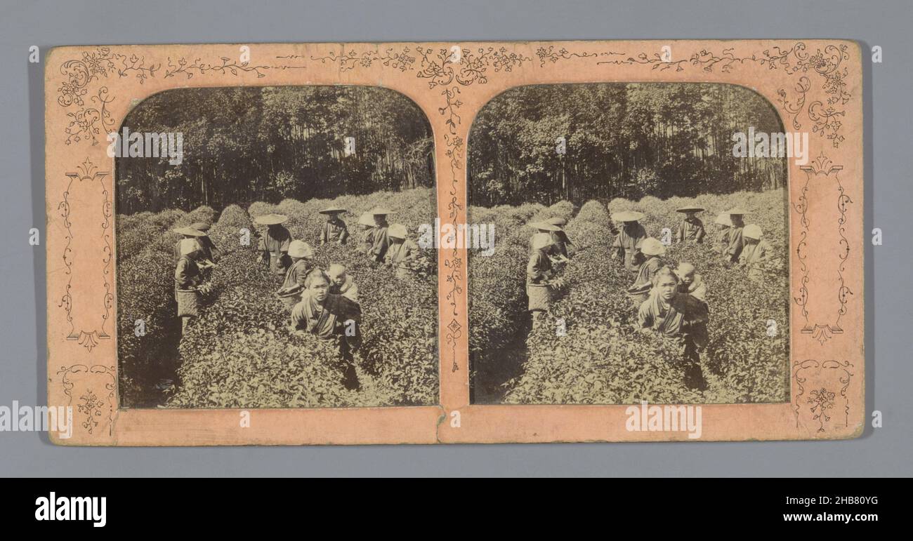 Frauen auf einer Plantage in Südostasien, anonym, Azië, 1865 - 1875, fotografische Unterstützung, Papier, Albumin-Druck, Höhe 88 mm × Breite 179 mm Stockfoto