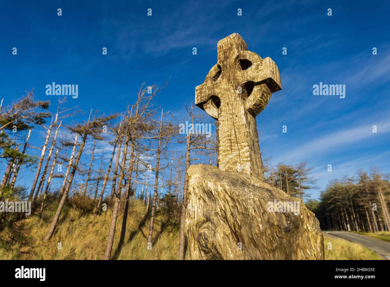 Llanddwyn Island Holzschnitzereien im Newborough Forest, Isle of Anglesey, North Wales Stockfoto