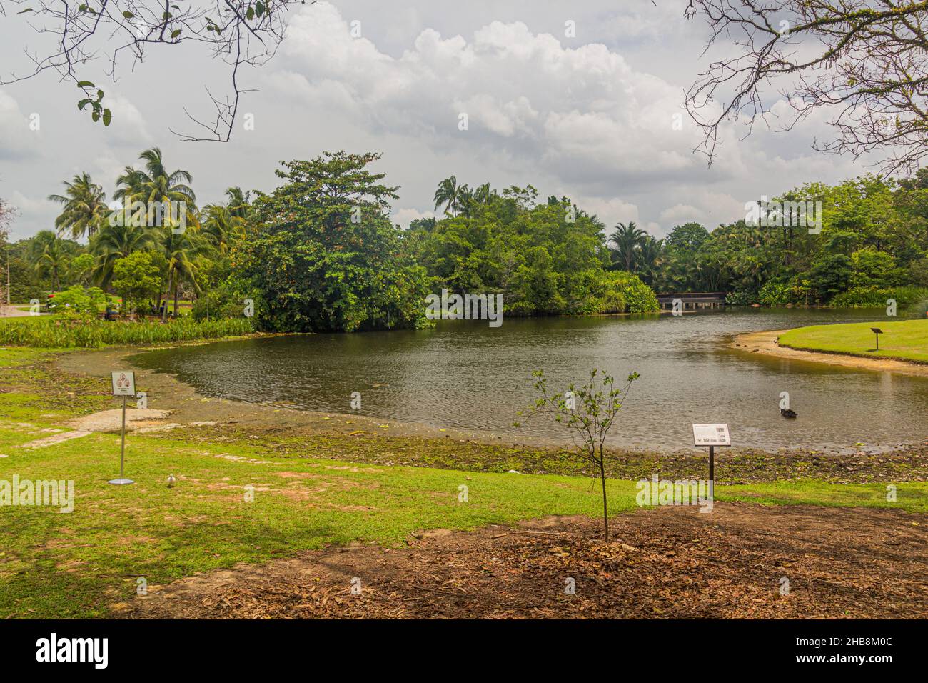 Teich in den Botanischen Gärten von Singapur. Stockfoto