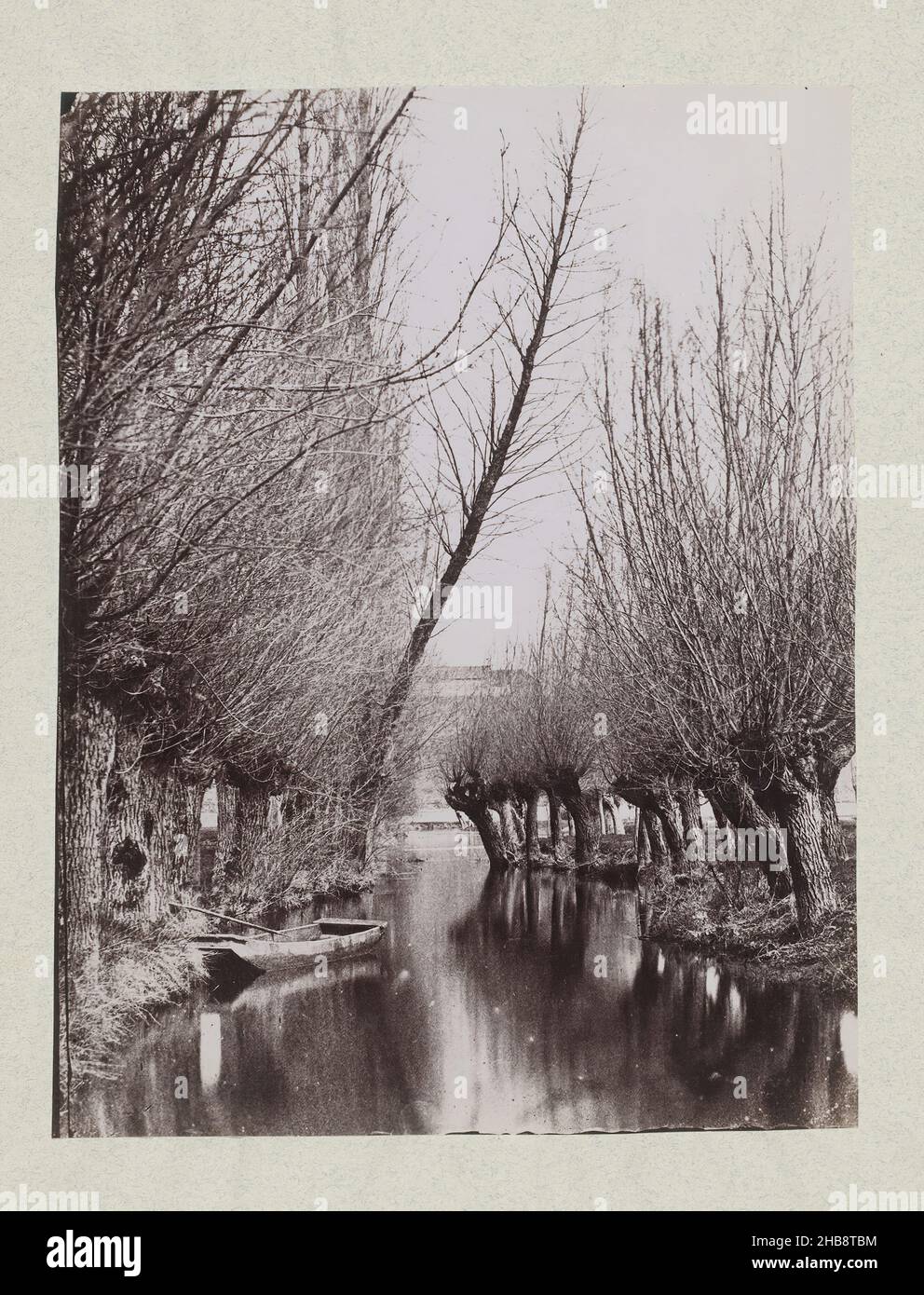 Fluss mit Bäumen, anonym, c. 1850 - c. 1900, Albumin-Druck, Höhe 254 mm × Breite 196 mm Stockfoto