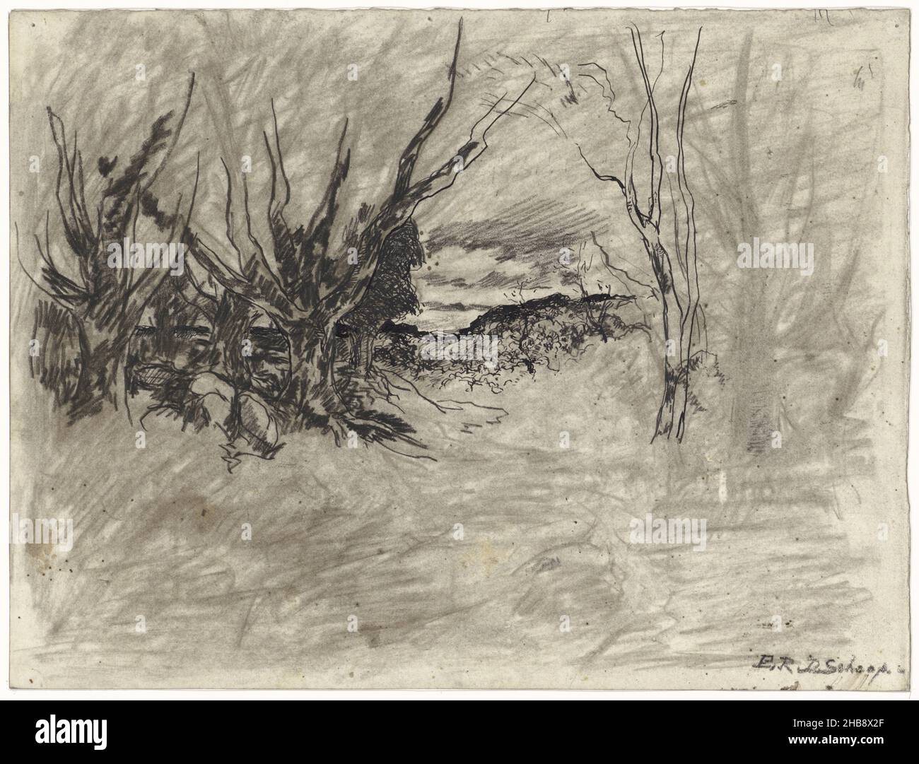 Landschaft mit einigen Bäumen, Zeichner: Egbert Rubertus Derk Schaap, 1872 - 1939, Papier, Kreide, Pinsel, Höhe 241 mm × Breite 318 mm Stockfoto
