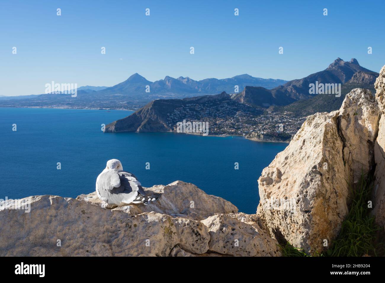 Wunderschöne mediterrane Meereslandschaft mit blauen Bergen und Möwen Stockfoto