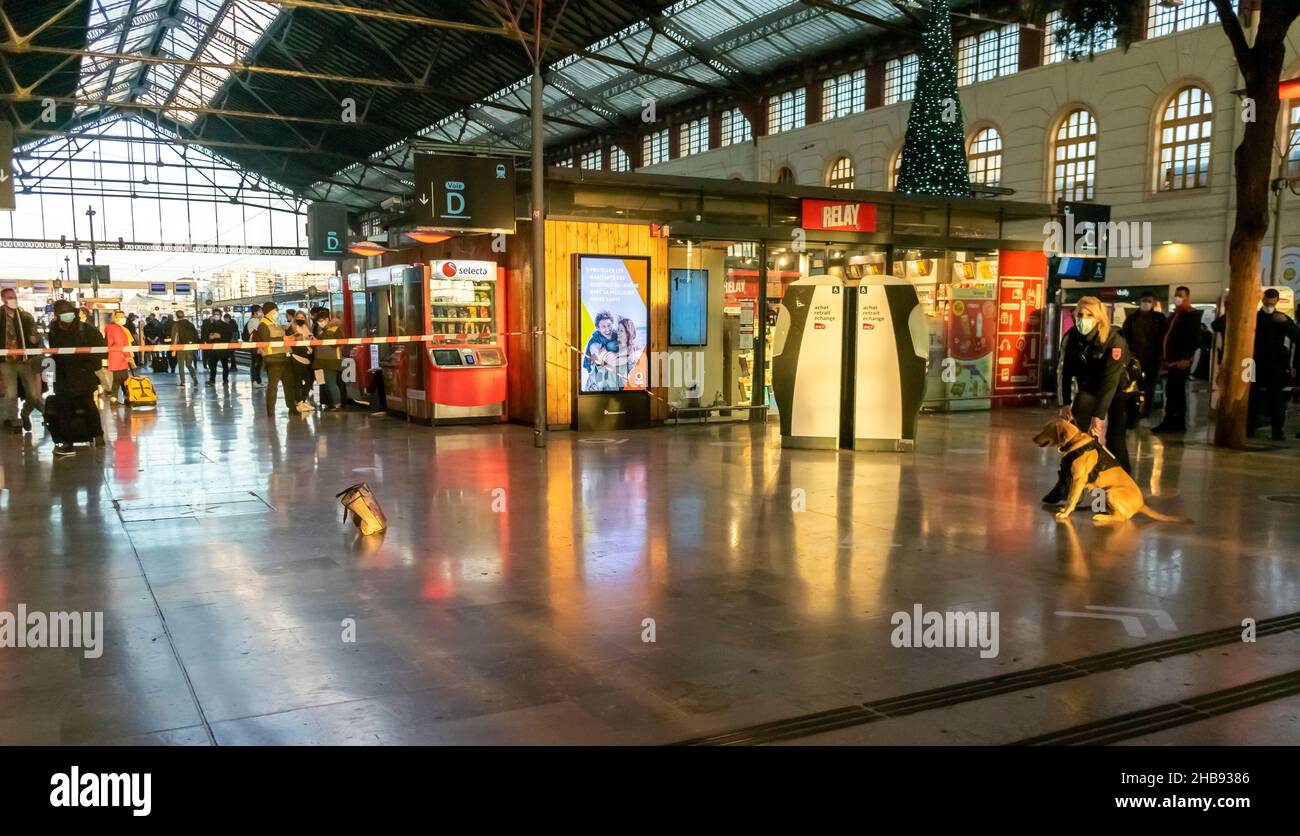 Marseille, Frankreich, Weitwinkelblick innen, Polizistin und Polizeihund, die verlassenes Gepäck im Flur aufgeben, Bahnhof Saint Charles Marseille Stockfoto