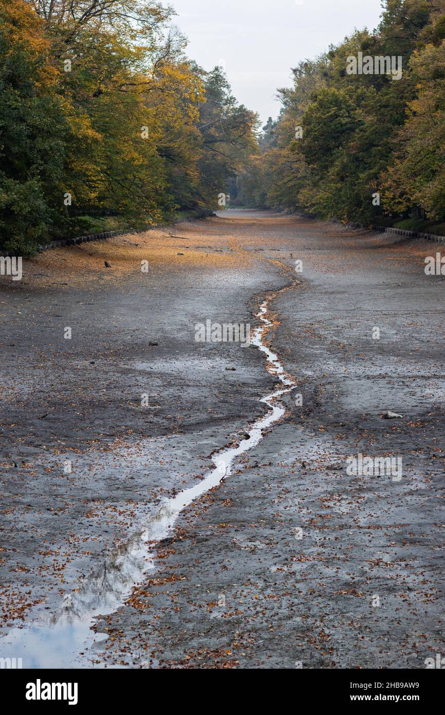 Trockener Fluss in der Herbstsaison. Auswirkungen der globalen Erwärmung. Dürre während des Klimawandels Stockfoto