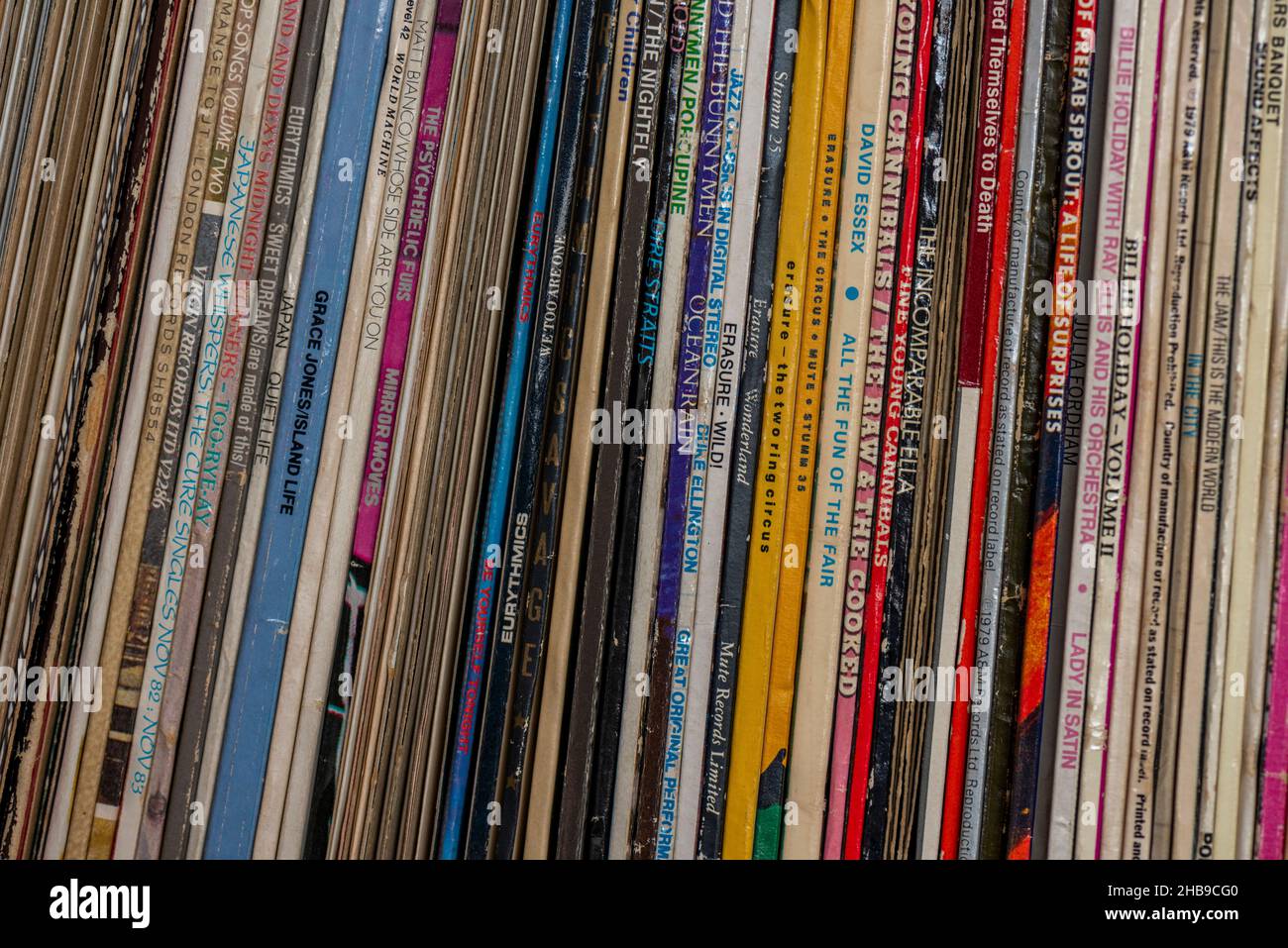 Nahaufnahme von Vinyl-Langspielplatten aus den 1970er und 1980er Jahren, LP's im Regal, Sammlung von Rock- und Pop-Aufnahmen auf Original-Vinyl, Platten Stockfoto