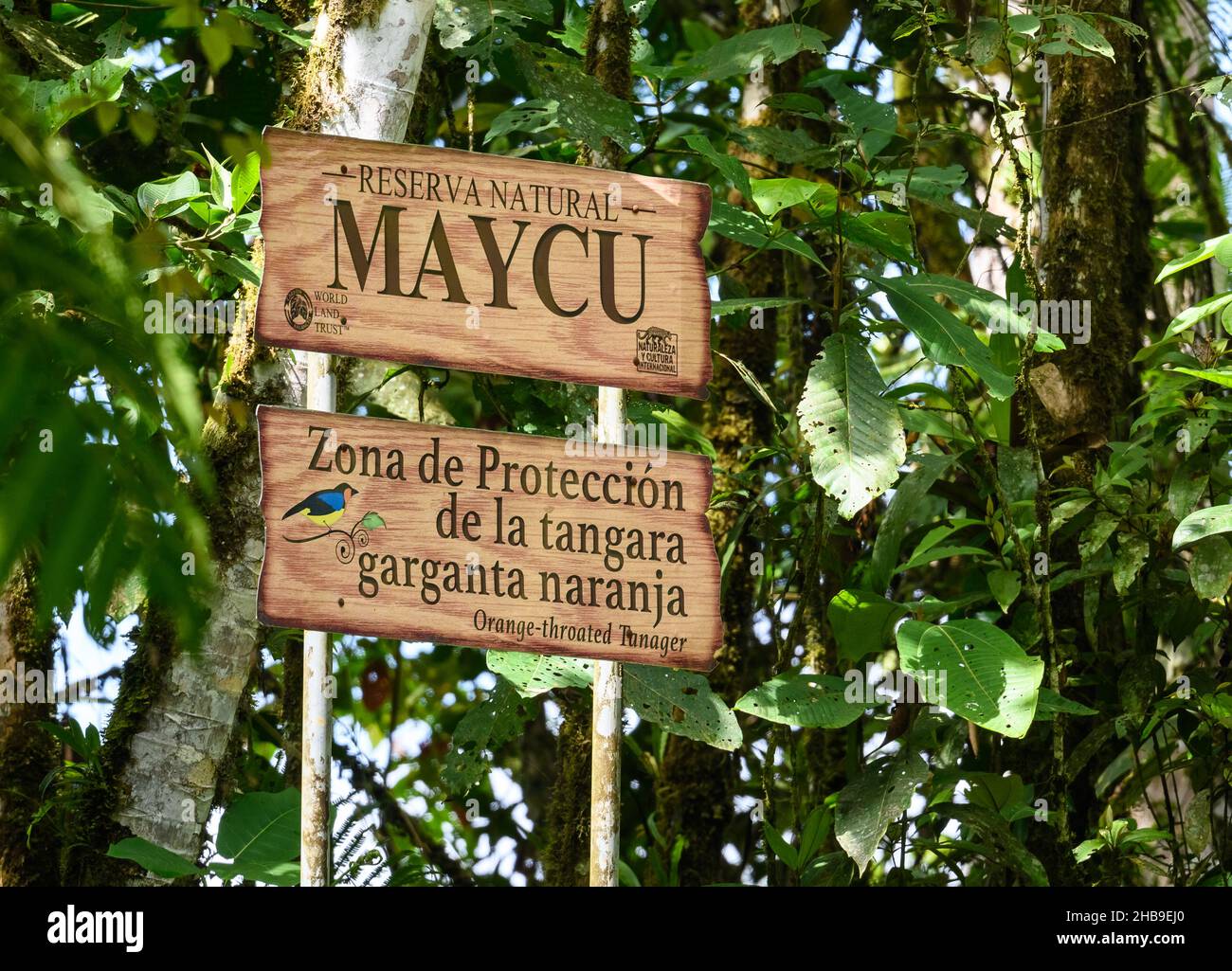 Zeichen des Maycu Naturreservats, einem geschützten Gebiet für Orangekehltanager (Wetmorethraupis sterrhopteron). Zamora-Chinchipe, Ecuador, Südamerika. Stockfoto