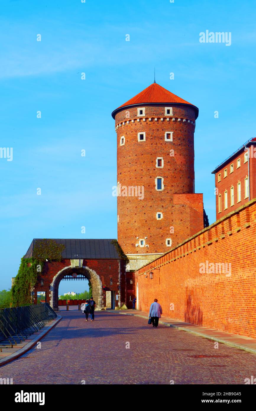 Polen, Krakau, Schloss Wawel, Sandomierz-Turm. Stockfoto