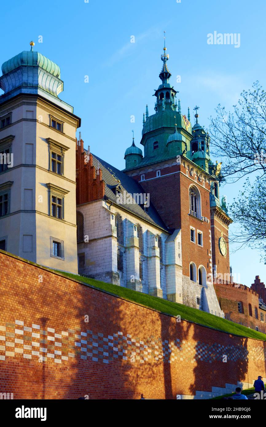 Polen, Krakau, Burg Wawel, Kathedrale. Stockfoto