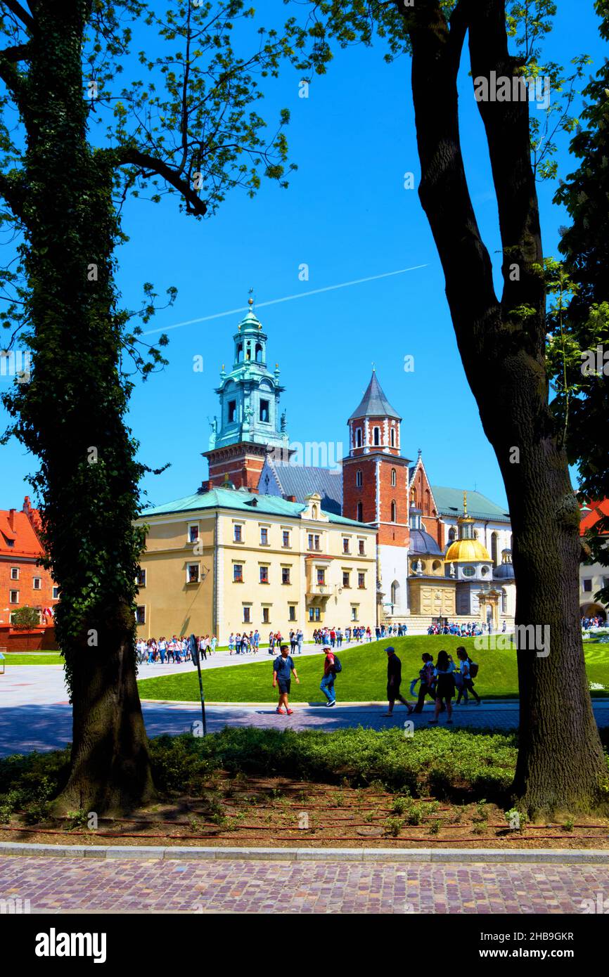 Polen, Krakau, Burg Wawel, Kathedrale. Stockfoto