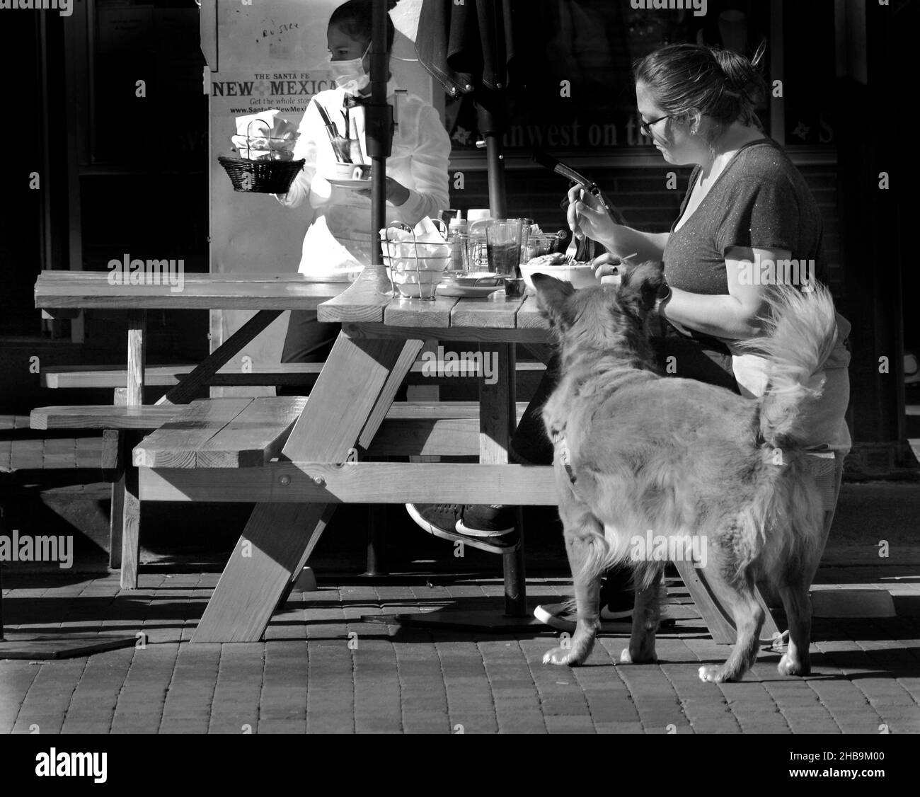 Eine Frau mit Hund isst an den Tischen im Freien in Santa Fe, New Mexico, zu Mittag. Stockfoto