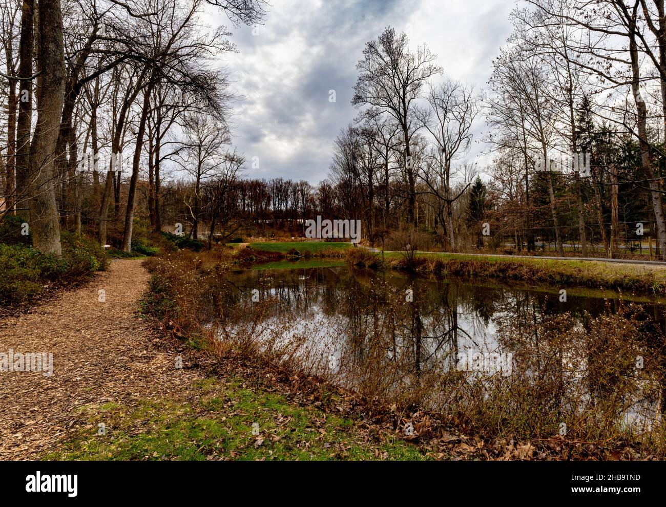 Winterhimmel über einem Teich Stockfoto