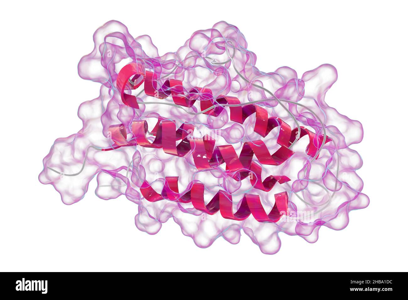 Hormon Erythropoietin (humanes EPO, Epoetin). EPO stimuliert die Produktion von roten Blutkörperchen. Es wird als Medizin und im Sport Doping verwendet. Stockfoto