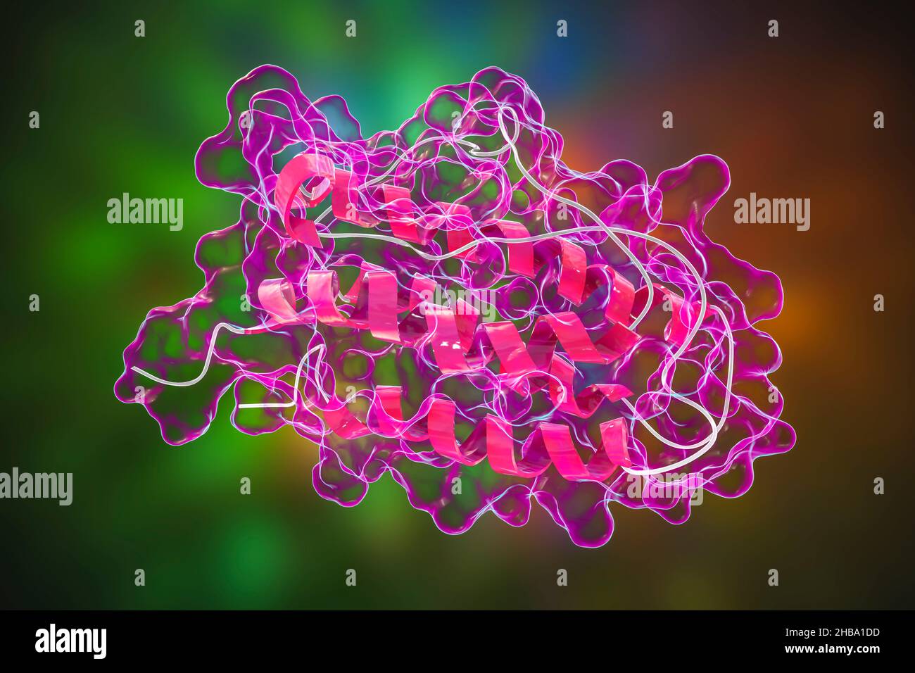 Hormon Erythropoietin (humanes EPO, Epoetin). EPO stimuliert die Produktion von roten Blutkörperchen. Es wird als Medizin und im Sport Doping verwendet. Stockfoto