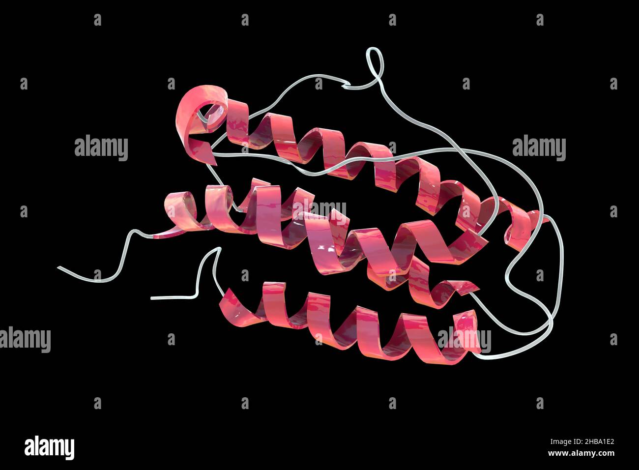 Hormon Erythropoietin (humanes EPO, Epoetin). EPO stimuliert die Produktion von roten Blutkörperchen. Es wird als Medizin und im Sport Doping verwendet. Stockfoto