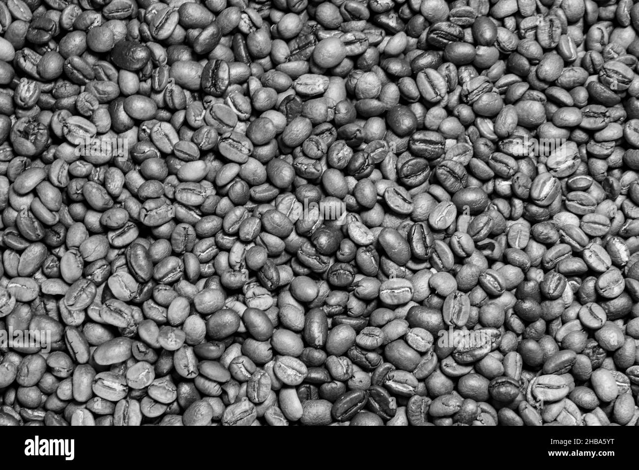 Geröstete arabica-Kaffeebohne im Vollformat im Hintergrund, Hintergrundstruktur. Stockfoto
