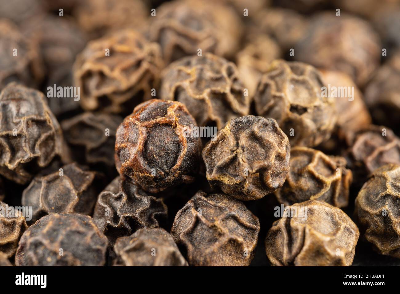 Makro von echten essbaren Gewürzen und Samen: Schwarzer Pfeffermais auf einem Haufen. (Schwarzer Pfeffer - Piper nigrum) Stockfoto