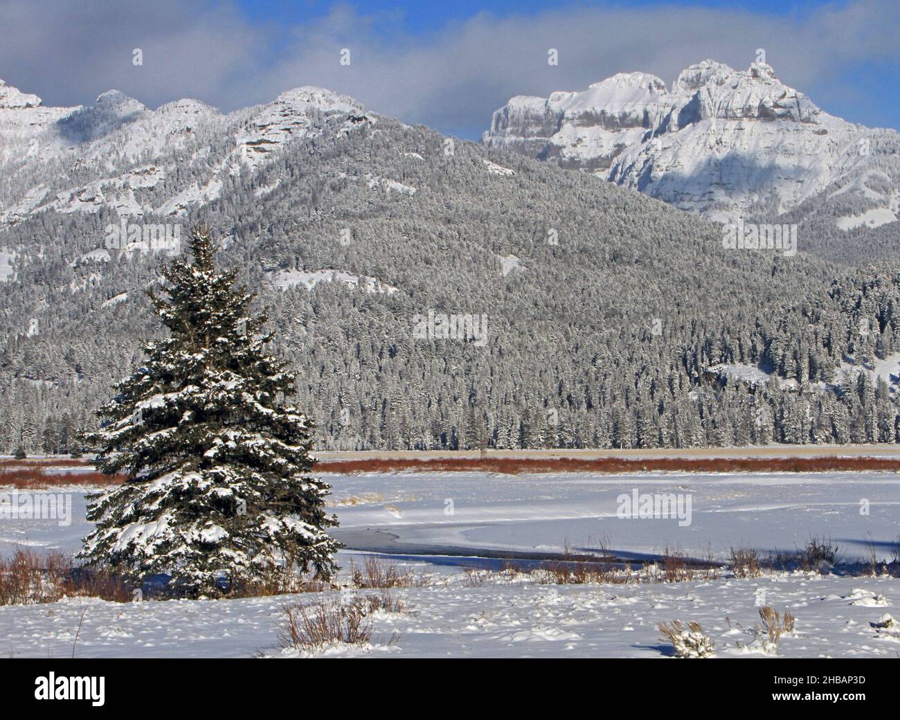 Round-Parrim und Amphitheatre-Berg., Yellowstone-Nationalpark. Eine digital optimierte Version eines NPS-Bildes, Quelle: NPS/J. Peaco Stockfoto